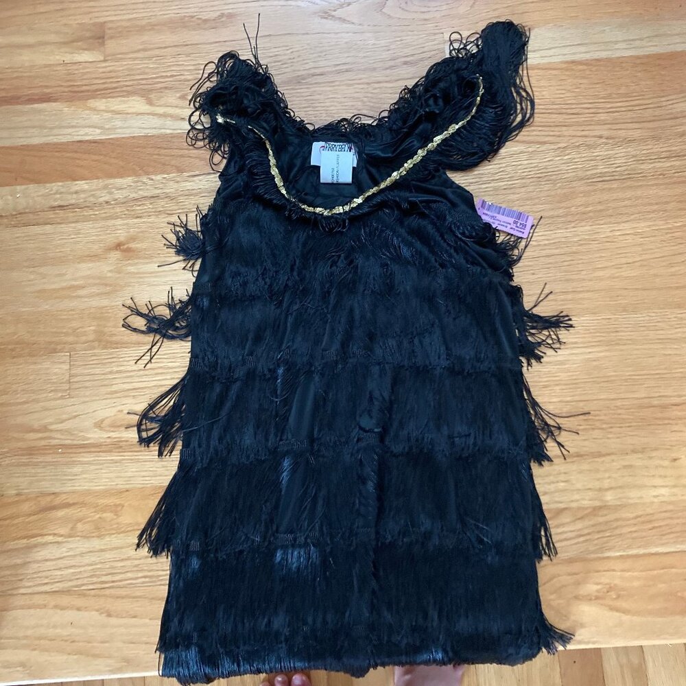 Flapper Dress (Halloween or Costume Dress)